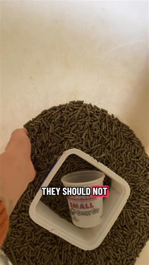 72K views · 2.4K reactions | Sometimes fertility issues in rabbits...