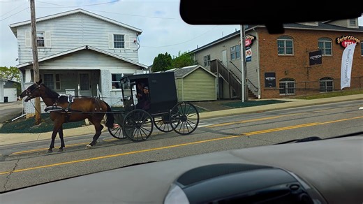 140K views · 2.9K reactions | A horse and buggy passing through Berlin Ohio. | Ohio Amish Country | Facebook