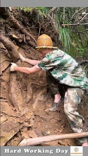 Root Extraction Process