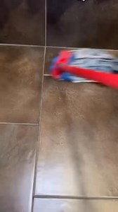 Sparkling floors made simple ✨🧽 #CleaningHacks #HousekeepingTips #TileCare #FreshHome #CleanWithMe | The Cleaning Lady