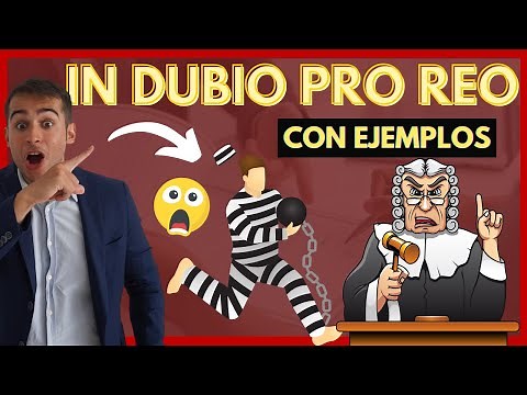 📜 Principio IN DUBIO PRO REO: ¿Qué es? ¿Diferencia con la presunción de inocencia? TODO con EJEMPLOS