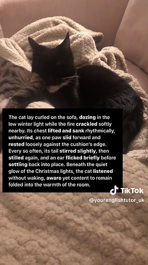 Mastering Creative Writing Techniques