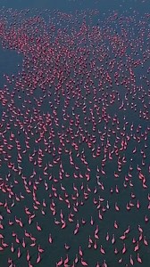 December in Rajasthan. Pure Magic🫰 | Col Rajyavardhan Rathore