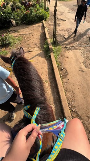 Horseback Riding Adventures in the Philippines