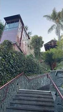 An amazing dinner experience! Shadowbrook Restaurant in Capitola, CA. 10/10 highly recommend.