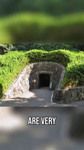 Japan's Paleolithic Secrets - Unearthing Ancient History