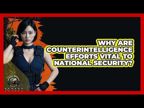 Why Are Counterintelligence Efforts Vital To National Security? - Tactical Warfare Experts