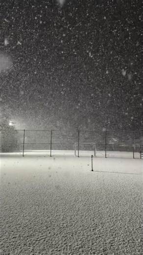 Stork Snow, Laylak qor #nature #shorts