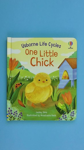 Watch a chick develop inside her egg, hatch and totter around exploring, as a curious ball of fluff, before growing into a pullet and then an adult hen, laying and hatching eggs of her own 🐤🐣 But where does this little chick come in the pecking order? And will she rule the roost? This inventive information book, specially written for little children and with intriguing holes to peep through on every page, is perfect for a first introduction to the incredible world around us. #UsborneBooks #Eas