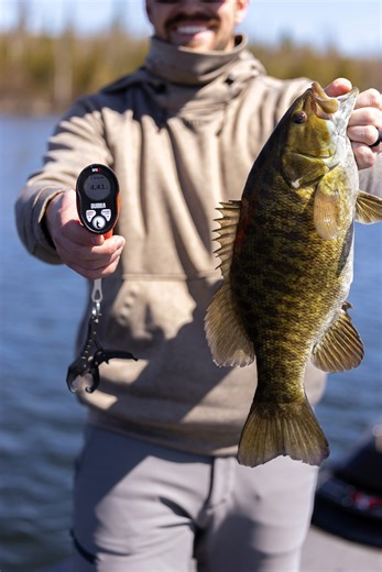 1.4K views · 15 reactions | We've been throwing some quality smallies on the new Smart Fish Scale Lite, and it just never gets old! #BUBBA | BUBBA | Facebook