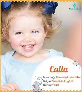 Calla Name Meaning, Origin, History, And Popularity