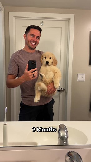 Watch Emma grow! 2-5 months #goldenretrieverlife #dog #puppy