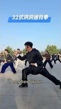 32式洪洞通背拳｜Tongbei Quan #kungfu #shaolinkungfu #martialarts #tongbeiquan #通背拳