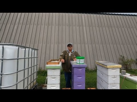 2025 Aug Apiguard Update