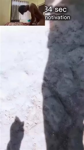 pkr2earn on Instagram: "日本利用压电瓷砖将脚步转化为电能。这些瓷砖捕捉来自你脚步的动能。当你行走时,你的重量和动作会对瓷砖产生压力。瓷砖会轻微弯曲, 从而产生机械应力。瓷砖内部的压电材料将这种应力转化为电能。每一步都会产生少量电荷, 而数百万步结合在一起就能产生足够的电力来驱动 LED灯、数字显示屏和传感器。在像涩谷车站这样繁忙的地方,每天大约有240万个脚步为这一系统作出贡献。这些电能可以被储存或立即使用,从而减少对传统电力来源的依赖,并支持可持续的城市基础设施。这种方法将日常运动转化为实用的可再生能源#日本#知识]识# 事实你知道吗 推荐科技创新历史 技术实验热"