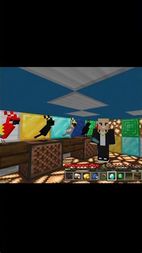 Parrot Dancing 😂🦜