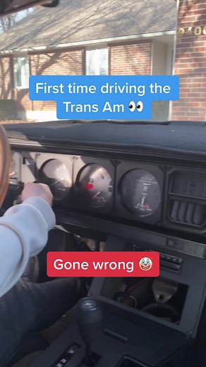 1982 Pontiac Firebird on TikTok