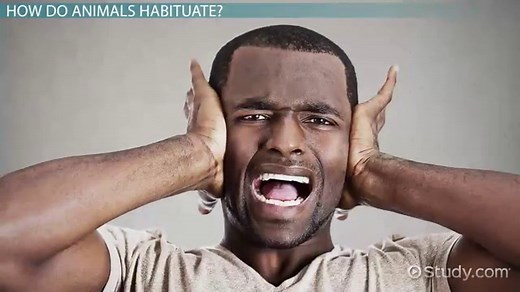 You must c C reate an account to continue watching