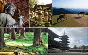 2 Day Itinerary In Nara – Deers, Temples and Nature