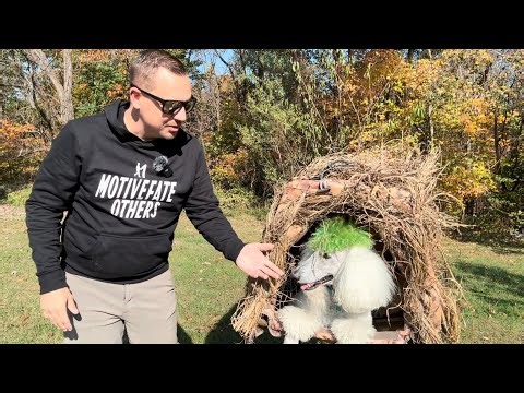 Standard Poodle Duck Hunting Practice Day 176