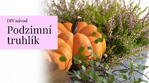 Inspirace na podzimní truhlíky: Aranžování rychle a jednoduše | Tvořte s námi | Stream