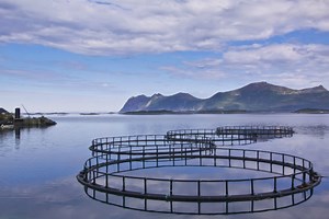 Innovative New Aquaculture Course | Aquaculture | Fish Focus