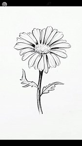 177K views · 2.8K reactions | Easy flower drawing for beginners #pencildrawing #pencilsketch #drawing | Drawing Book | Facebook