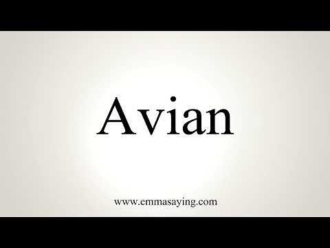 How To Pronounce Avian