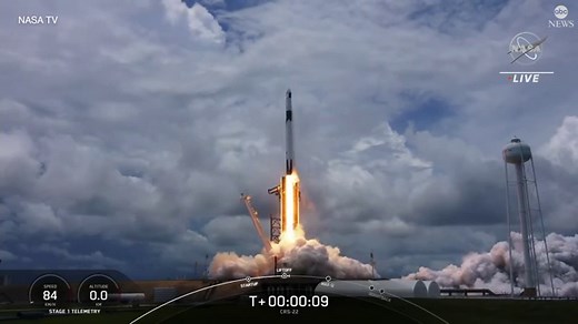 SpaceX launches glow-in-the-dark baby squid to the International Space Station