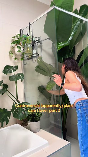 Controversial (apparently) plant care I love | part 2 Putting my tropical plants in the shower. Using tap water in general 😱 Using the bathtub method when I travel. Moving my plants into the rain. Using ‘unpractical’ tools - god forbid a likes a little whimsy Root trims. Using branches instead of moss poles. Helping a stuck leaf Bottom watering plants in the same bowl 🤠 the horror 🌿 In short, so what works for you. #plantcare #houseplants #plantcaretips #asmrvideo