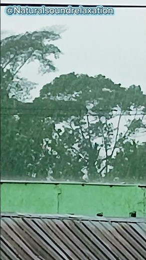 Midday Heavy Rain Sounds for Deep Sleep and Ultimate Relaxation🌧️