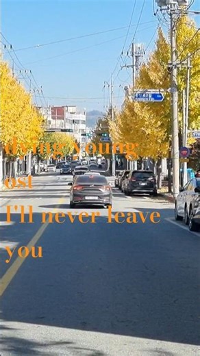 #automobile #영화음악#cf음악 #줄리아로버츠#soundtrack #movie #love #80smusic #은행나무