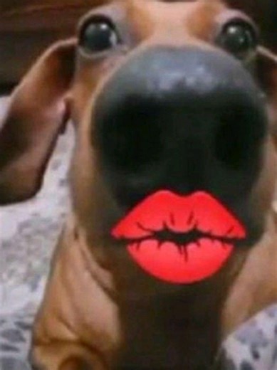 Desafio no Tower of Hell no Roblox