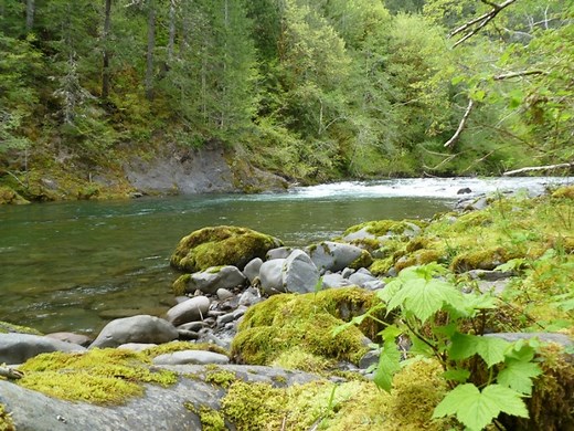 Sol Duc River Fishing | Forks, WA | Blue Heron Guide Service