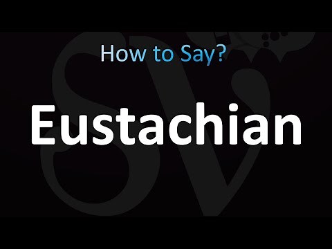 How to Pronounce Eustachian (correctly!)