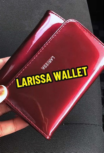 Stylish Larissa Mini Wallet Review