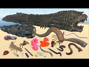 Riftworm Vs Sandworm Vs God of Black Worm in 3D Real & Monster Worm Size Comparison