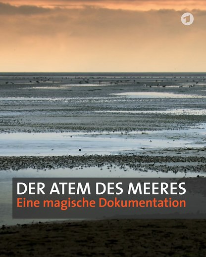 Die Gezeiten des Meeres sind nirgendwo anders so sichtbar wie im Wattenmeer. Der niederländische Regisseur Pieter-Rim de Kroon begreift sie als Ein- und Ausatmen. Diesem immer wiederkehrenden Rhythmus hat er einen Dokumentarfilm gewidmet: "Der Atem des Meeres". | ttt - titel thesen temperamente