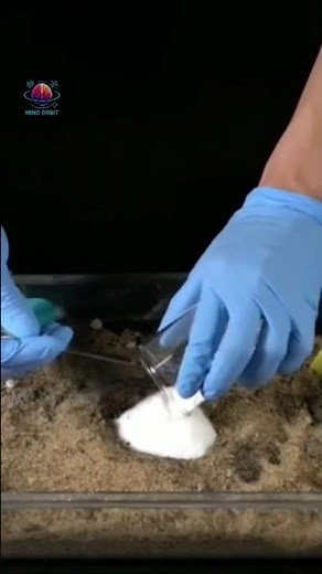 “Amazing Fire Snake Experiment | Baking Soda + Sugar Chemistry Trick”🔥#science #short #chemistry