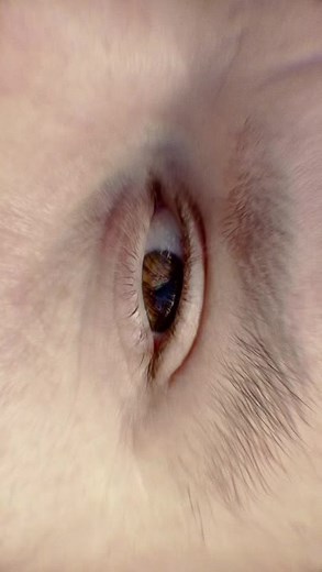 Cosmic Eye Zoom: An Infinite Loop Zoom After Effect