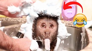 Monkey Takes a Super Soapy Bubble Bath! 🙈 | MonkeyBoo