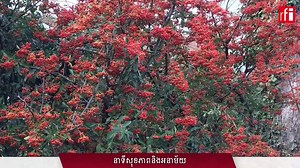 288K views · 5.4K shares | ធម្មជាតិជាពាក្យដ៏ពេញនិយមណាស់...