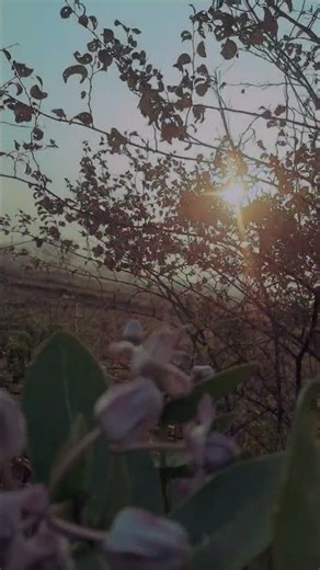 Best Sunrise View Ever 🌆🌅#short#video#reels#karmacreative#