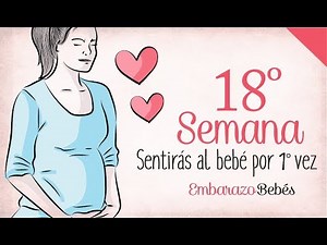 SEMANA 18 de #Embarazo | 5º Mes | Semana a semana