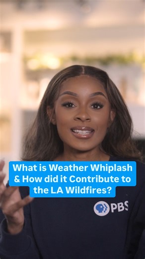 Weathered Host Maiya May explains "Weather Whiplash," a phenomenon that's on the rise, and primed Los Angeles for destructive wildfires. Many people are experiencing Weather Whiplash and don't even know it. Learn more about one of the most expensive and destructive disasters in US history. Watch PBS Terra's Weathered: Inside the LA Firestorm on the PBS App! | PBS SoCal