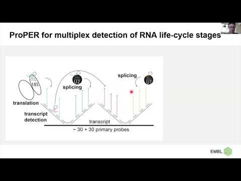 Multiplex, quantitative imaging of molecular proximities with ProPER