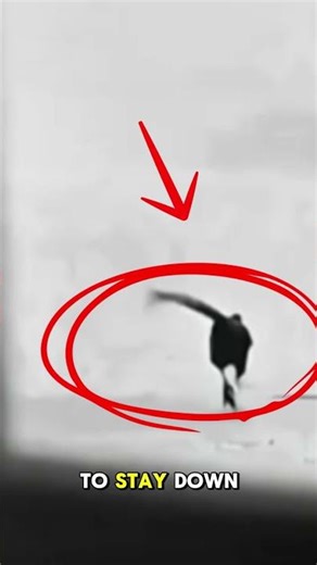 “The One-Winged Bird — The Power of an Unbreakable Ego 🕊️🔥 | Deep Life Motivation”