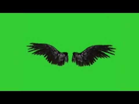 Green screen devil wings #greenscreen #growth #ytvideo