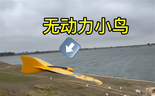 在狂风中起舞，全复材无动力飞翼滑翔机Mini Q，无动力斜坡滑翔