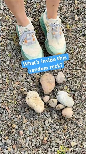 What’s inside this random bioswale rock?